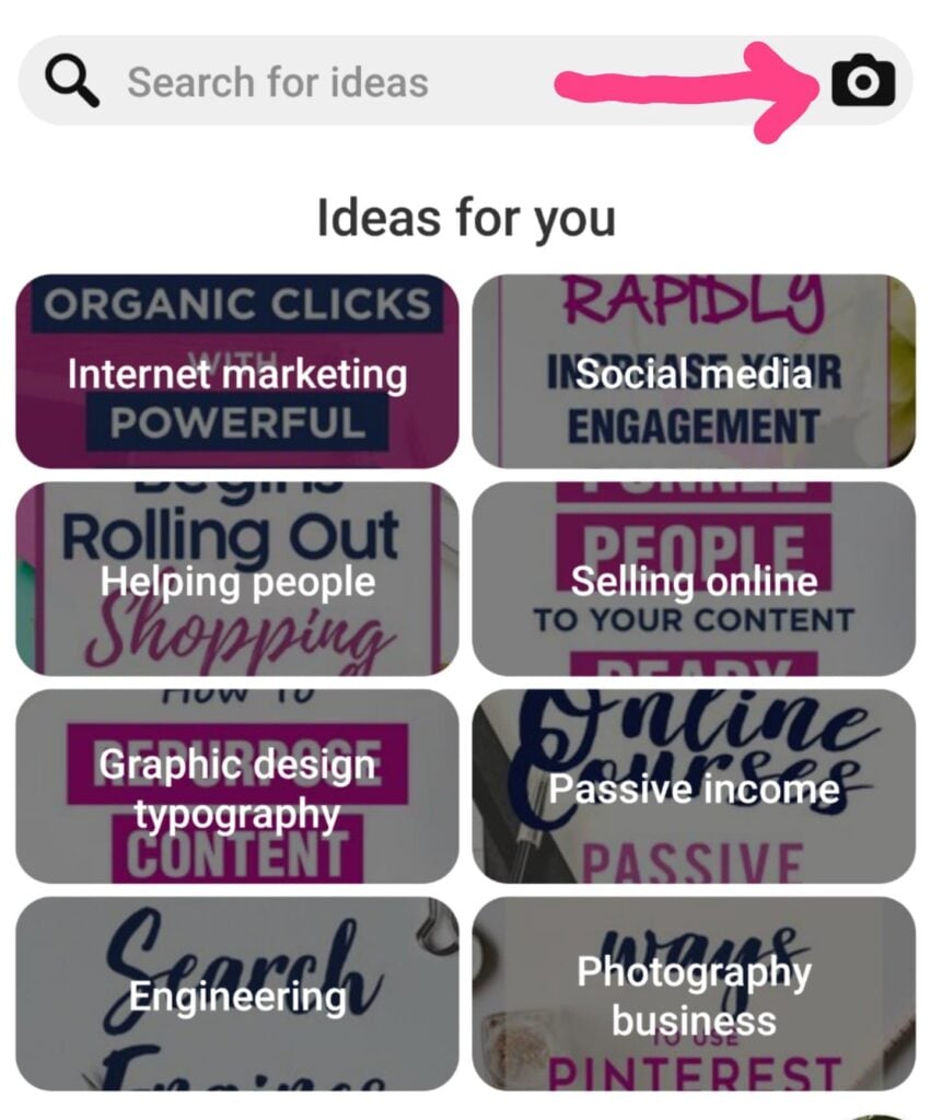 Lens Feature On Pinterest